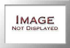 RMGC4ENV1C