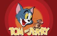TOMANDJERRY